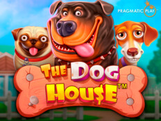 Nuhun köpekleri. Free casino slots to play.11